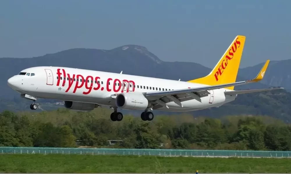 pegasus kampanya