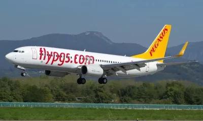 pegasus kampanya