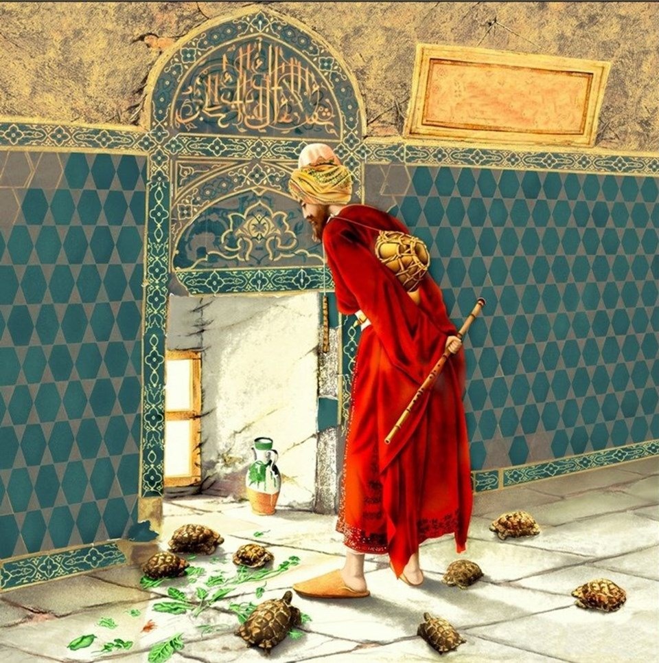 kaplumbağa terbiyecisi