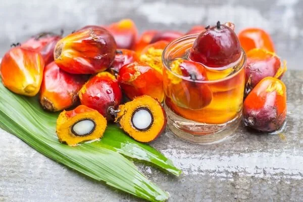 Palm Yağı Neden Tüm Atıştırmalık Ürünlerde Bu Kadar Yaygın Kullanılıyor? 55 Palm Yağı
