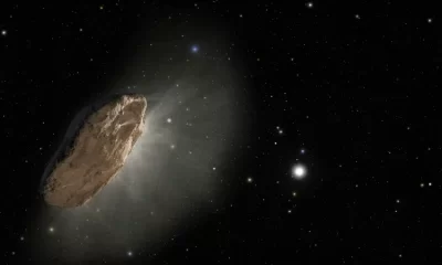 2 milyar yillik meteoritte insan DNA si