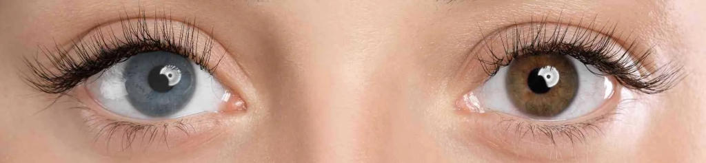 İnsanların Göz Rengi Neden Farklılık Gösteriyor? Bilimin Estetikle Buluştuğu Büyüleyici Gerçek 56 image 41