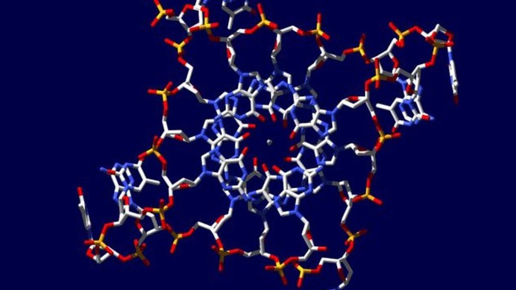 2 Milyar Yıllık Meteoritte İnsan DNA’sı mı Bulundu? Aslında Uzaylı Biz Mi Uzaylıyız? 62 insan dnası