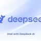 DeepSeek Yapay Zeka