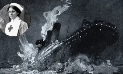 d7ae7e7c 0f42 49b5 b35d 378a34b9005b