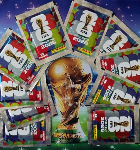 panini 2026 dunya kupasi vector pdf indir